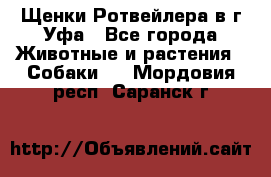 Щенки Ротвейлера в г.Уфа - Все города Животные и растения » Собаки   . Мордовия респ.,Саранск г.